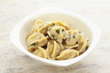 Russian boiled dumplings with meat