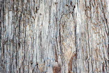 old bright natural wooden texture closeup with dry grass