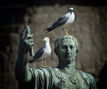 Escultura romana con heces de gaviotas 