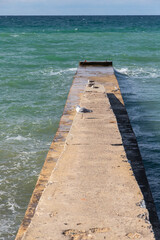 Seagulls are on an old breakwater, summer landscape. Vertical photo