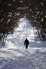 Niño caminando por la nieve