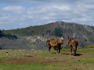 Marcols les Eaux