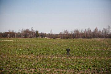 Russian rocket sticks out in a sown field