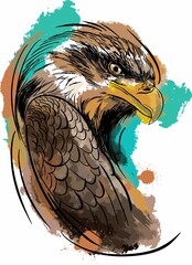 close-up of colorful painted Eagle face IN WATERCOLOR AND SKETCH ON BLACK BACKGROUND