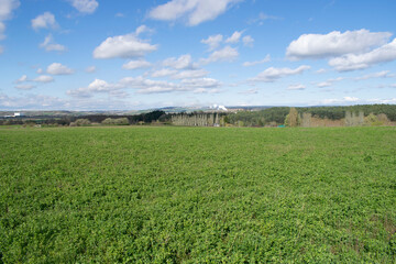 Paisaje de campos de cultivo en un prado un día soleado.