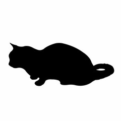 a cat body silhouette vector