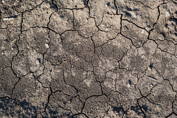 Texture of cracked dried soil. Dry ground with cracks. Brown rough surface of the soil during summer drought. Perfect for background and design. Ecology, climate change and global warming on Earth.