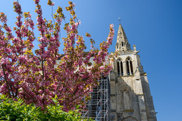 Fototapeta na wymiar The collegiate church of Saint Thomas of Canterbury in the springtime, surrounded by cherry blossoms. Crépy-en-Valois, Oise, FRANCE. 