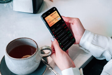 Mobile banking network. Smartphone with internet online bank application. Debit card wallet app. Save currency money wallet.