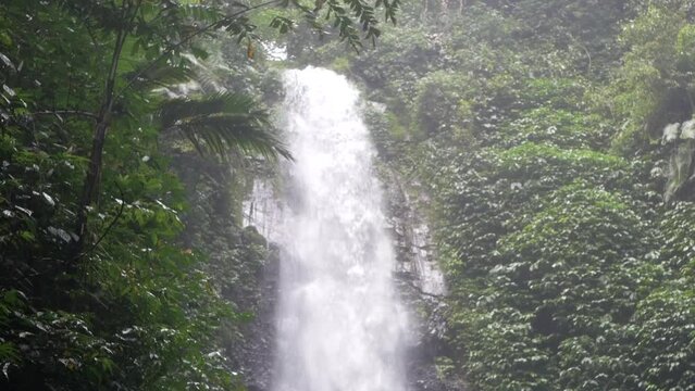 beautiful waterfall on the jungle