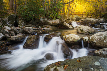 Autumn foliage and cascading water deep in the Great Smoky Mountains National Park