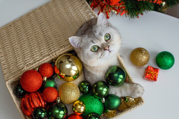 A white cat lies in a wicker basket near a Christmas tree, in multi-colored Christmas balls