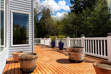 Home outdoor cedar wood deck just freshly stained during early spring season with trees and sky in background - 500793272