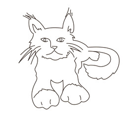 Maine Coon cat lies. One line style vector illustration isolated on white background