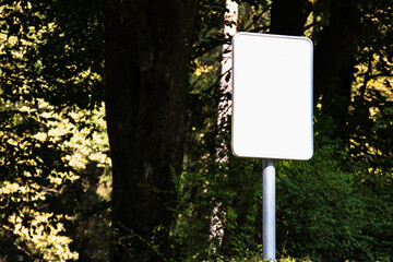 Empty blank sign board on a pole in a forest