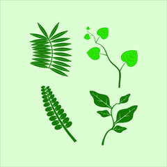 Green leaves floral ornamental element collection