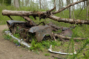 Abandoned Car In The Woods - Alberton Road Trail, Patapsco Valley State Park