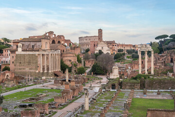 views of roman forum from palatine mountain, Rome