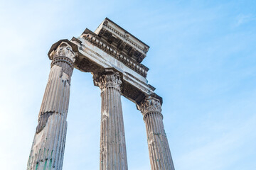 views of roman forum from palatine mountain, Rome