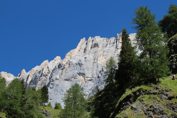 Mountain massif and green forest at foothills in a sunny day.