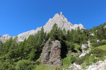 Mountain massif and green forest at foothills in a sunny day.