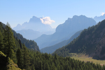 Mountain landscape. Valley with green forest and mountains on background ina sunny day. Valle Ombretta, Italian Alps.