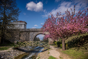 Naklejka na ściany i meble Blooming trees and bridges in Bursa Gokdere park