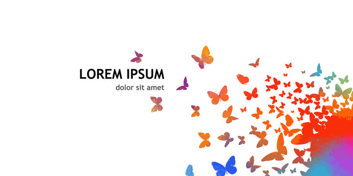 Background with colorful butterflies. Vector illustration