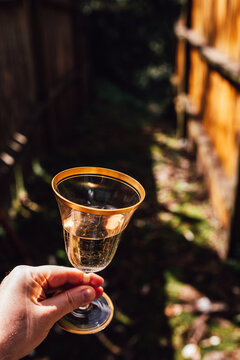 Hand Holding White, Rose Wine In Vintage Gold Rim Glass Outdoor On Old Fence By Tree