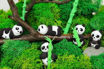 Obraz na płótnie Canvas Funny homemade plasticine pandas in a stylized jungle.
