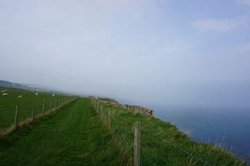 Fototapeta na wymiar Approaching the Scottish border along the coastal path