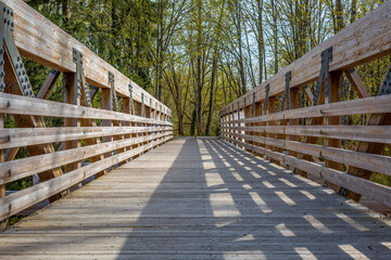 A photograph of a wooden bridge and trees background on Bud Blancher Trail near Eatonville, Washington.