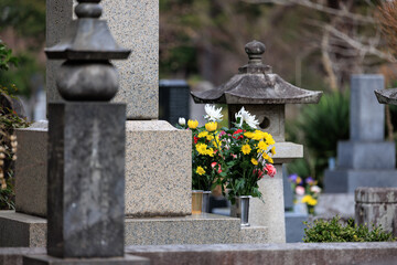 墓に手向けられた花