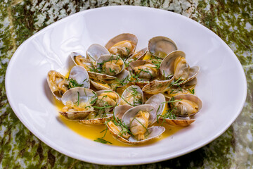 vongole in wine sauce on a white plate