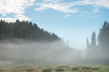 Beautiful misty mountain view just before sunrise. Humboldt County, California, USA near Orick.