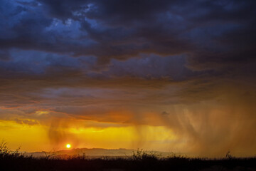 Rain shafts at sunset