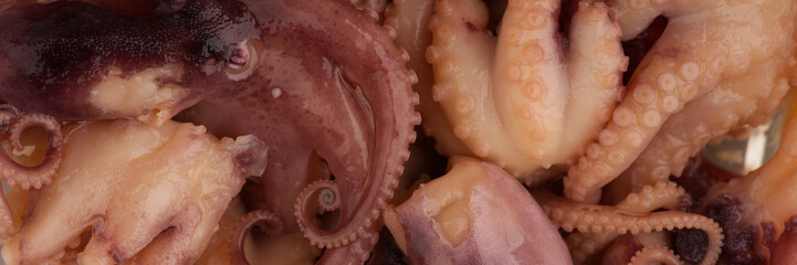 A small octopus among others in the restaurant closeup. View from above