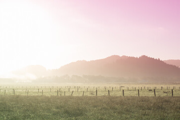 Early morning scene of a farm with mountains in the background with a pink and green neon filter...