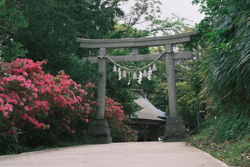 japanese temple entrance torii gate surrounded by beautiful flowers in the garden