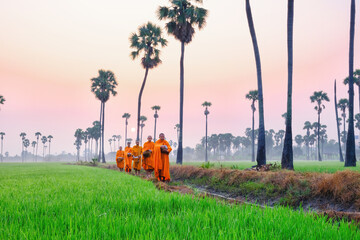 Buddhist monks going about to receive food from villager in morning in Thailand