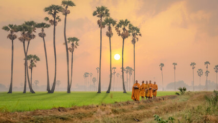 Buddhist monks going about to receive food from villager in morning in Thailand