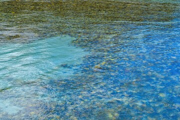 梓川の清流の情景＠上高地、長野