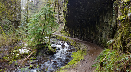 Multnomah Creek in northern Oregon flows over 5 miles through a beautiful forest and over scenic waterfalls. It eventually plunges into the Columbia River Gorge between Oregon and Washington.