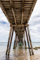 underneath the jetty at Port Noarlunga South Australia on February 28th 2022