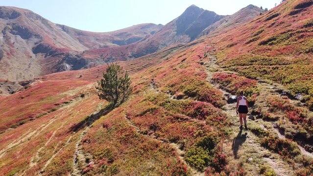 Woman Walks Uphill Red Valley in Prokletije National Park, Montenegro - Dolly