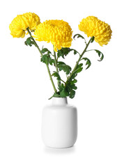 Vase of yellow chrysanthemum flowers on white background