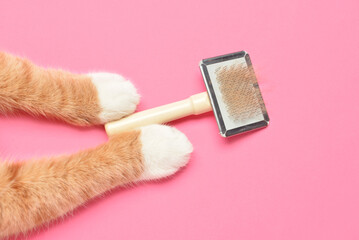 Paws of cute cat and grooming brush on pink background