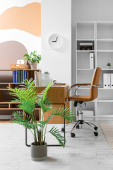 Comfortable workplace, houseplant and stylish clock on light wall