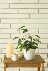 Ficus benjamina with teapot and candles on stepladder near white brick wall