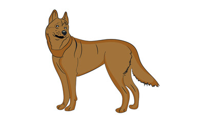 Husky dog illustration vector